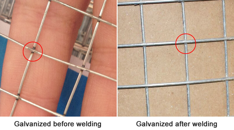 Galvanized welded wire mesh